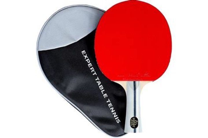 Best table tennis bats for experts and novices