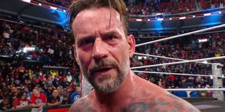 CM Punk Gets Slaughtered At UFC 203