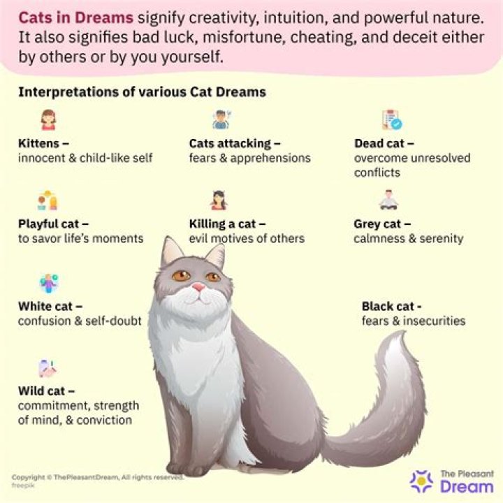 Dreaming of cat