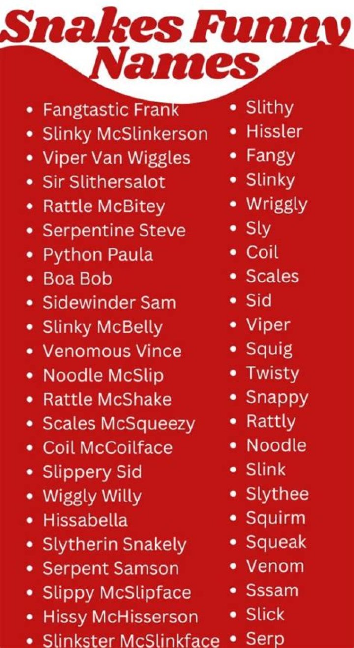 Funny Snake Names | List of Cute Names for Snakes