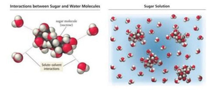 Inverted Sugar: What Is It, and How Does It Affect Your Glucose or Metabolism?