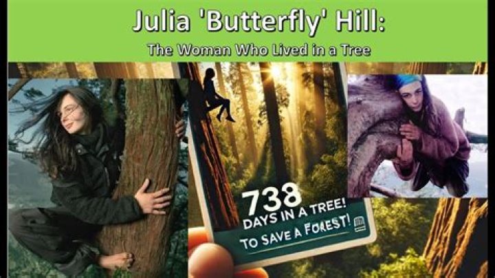 Julia Butterfly Hill: The Woman Who Lived in a Tree for 738 Days