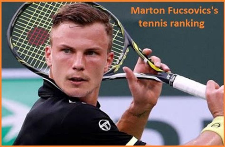 Marton Fucsovics Tennis Ranking, Wife, Net Worth, Family