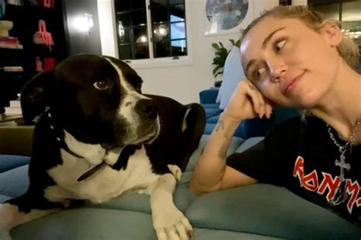 Miley Cyrus reveals her dog Mary Jane has died after battling cancer