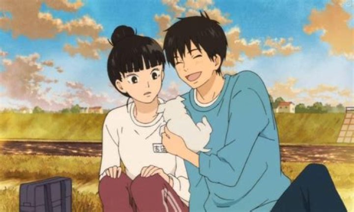 The 10+ Best Kimi ni Todoke Quotes