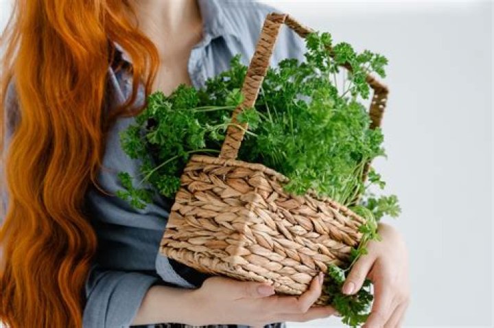 The Benefits of Microgreens and Their Uses: A Full Guide