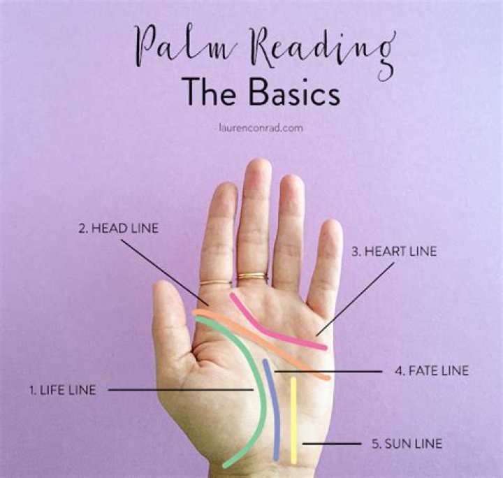 The Complete Palm Reading Guide
