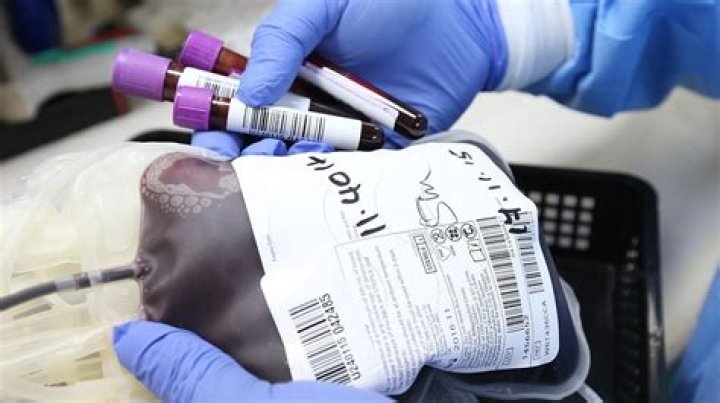 Transplant teen who changed blood type is 'a girl in six billion' | London Evening Standard