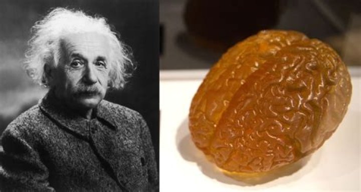 What Happened to Albert Einstein’s Brain After He Died?
