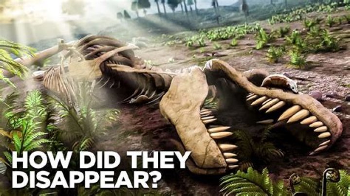 What Killed Dinosaurs and Other Life on Earth?